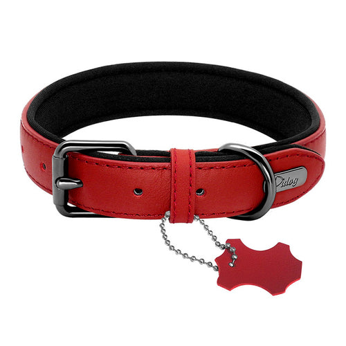 Didog Leather Dog Neoprene Padded Pet Collar Leash