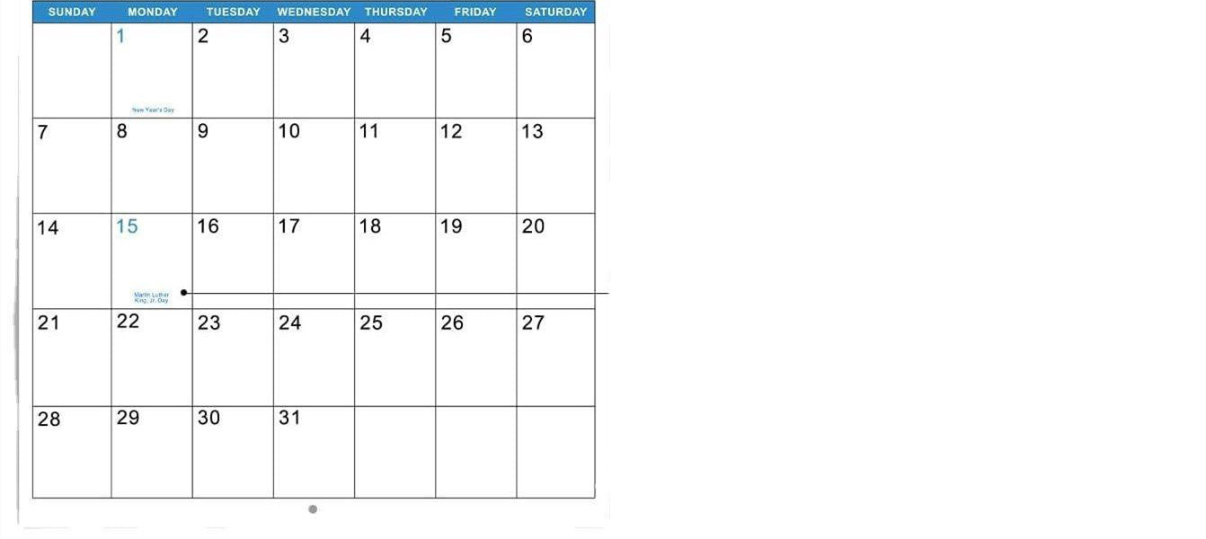 New Year Dog Poop Calendar