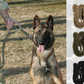 Pet Dog Leash With Highly Reflective Threads