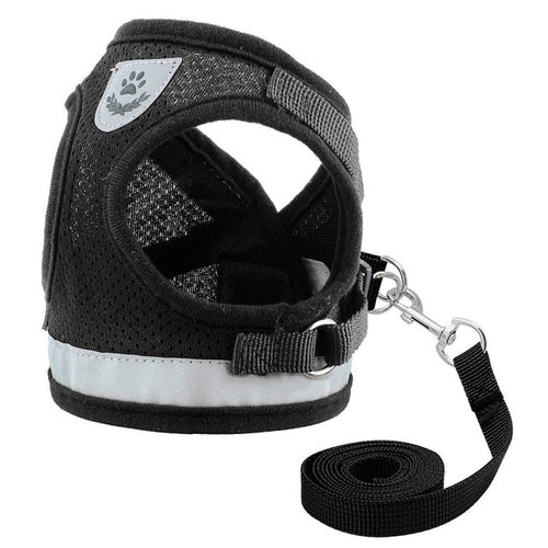 Cat Harness and Leash Set Reflective Kitten Puppy