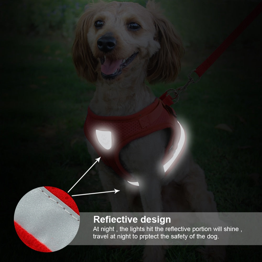 Cat Harness and Leash Set Reflective Kitten Puppy