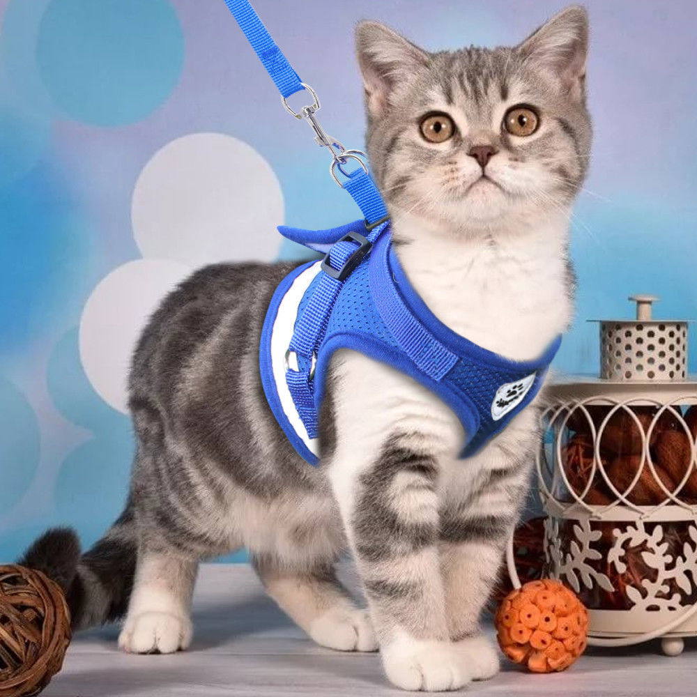 Cat Harness and Leash Set Reflective Kitten Puppy