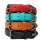 Didog Leather Dog Neoprene Padded Pet Collar Leash