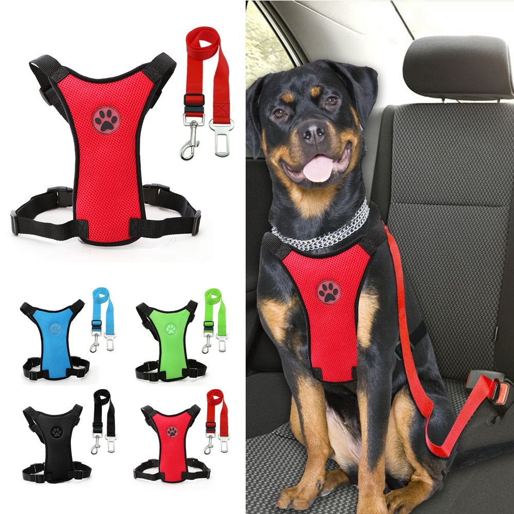 HARNESS