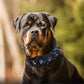 Reflective Nylon Dog Collar Adjustable Pet Collars