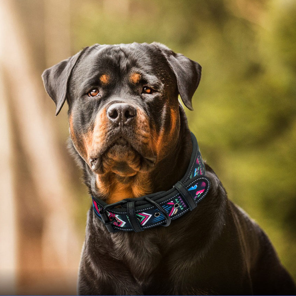Reflective Nylon Dog Collar Adjustable Pet Collars