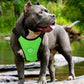 Breathable Mesh Pet Car Safety Chest Harness