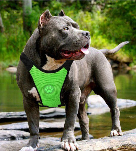 Breathable Mesh Pet Car Safety Chest Harness