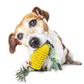 Pet Toothbrush Corn Stick Pet Dog Chew Bite Toys