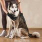 Fast Shipping 1 Pair Pet Grooming Gloves