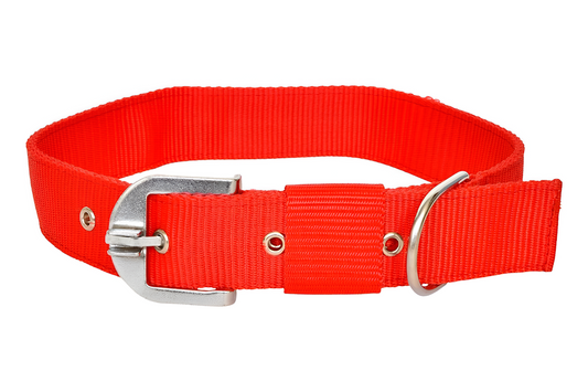 Nylon Dog Collar Durable Training Pet Collar for All Dogs Size 8X6X5