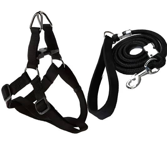 Dog Harness, Leash Rope Set (Pack of 2) Size 18X11X8 Cm  Color Black